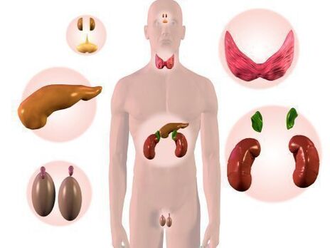 Órganos do sistema endócrino e psoríase